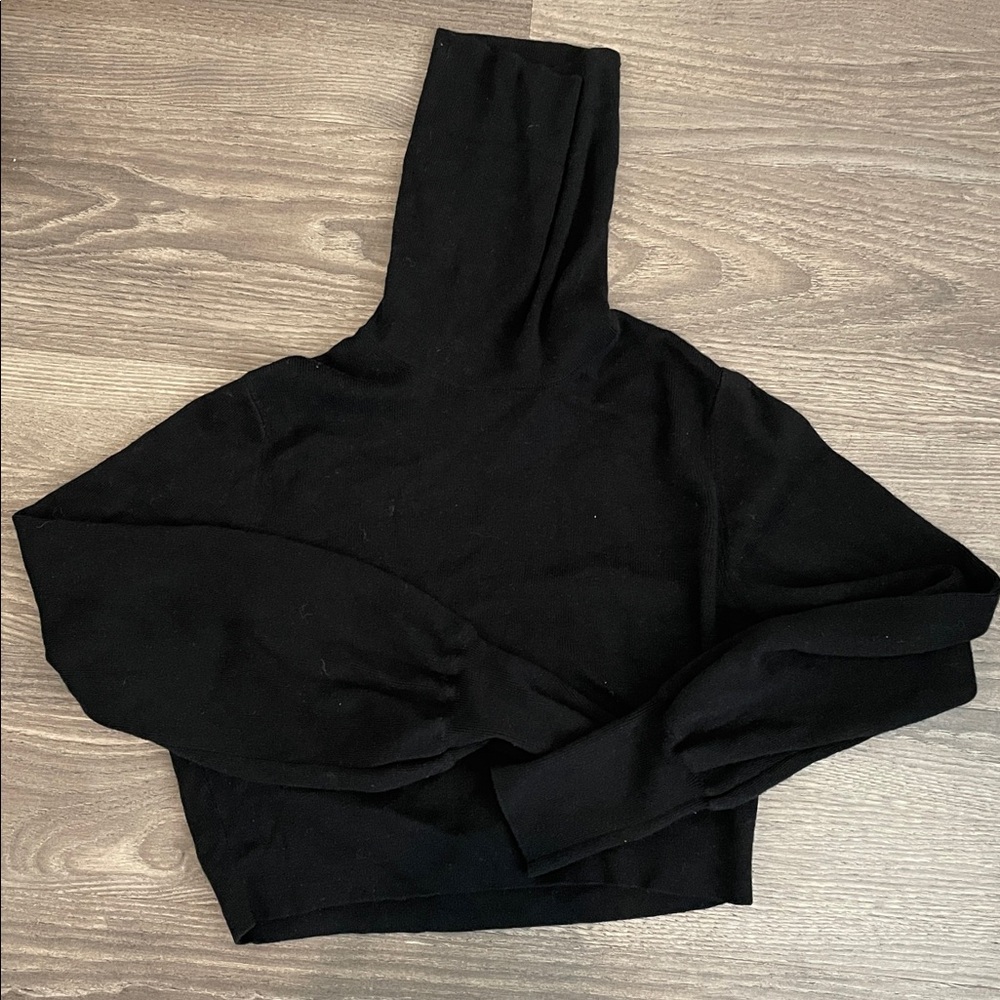 Aritzia cropped black turtleneck sweater